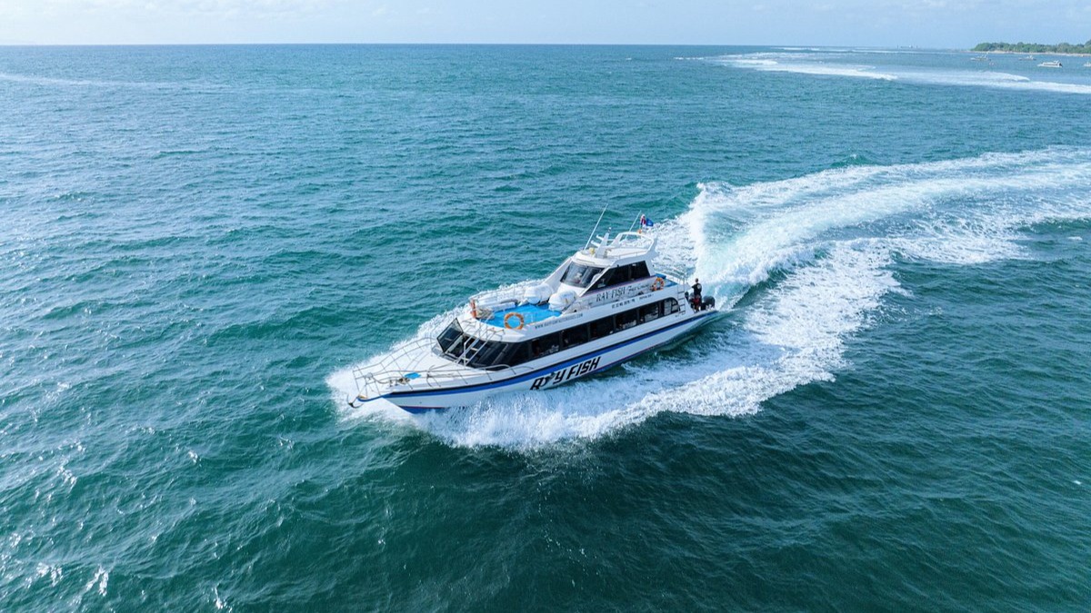 Ray Fish Fast Boat (1)