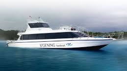 Sgening Fast Boat SN-NP
